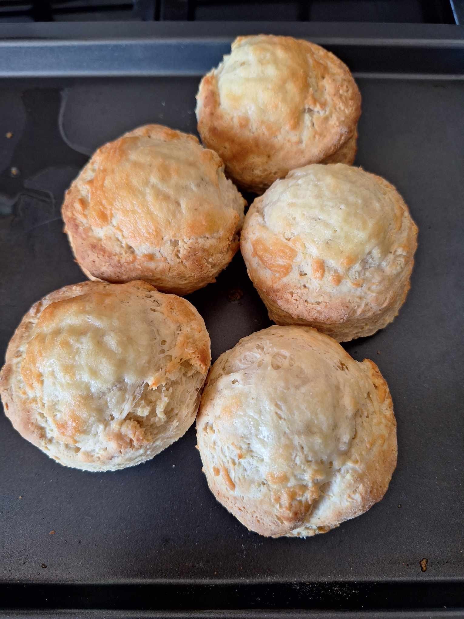 Cheesy scones arranged on a baking tray