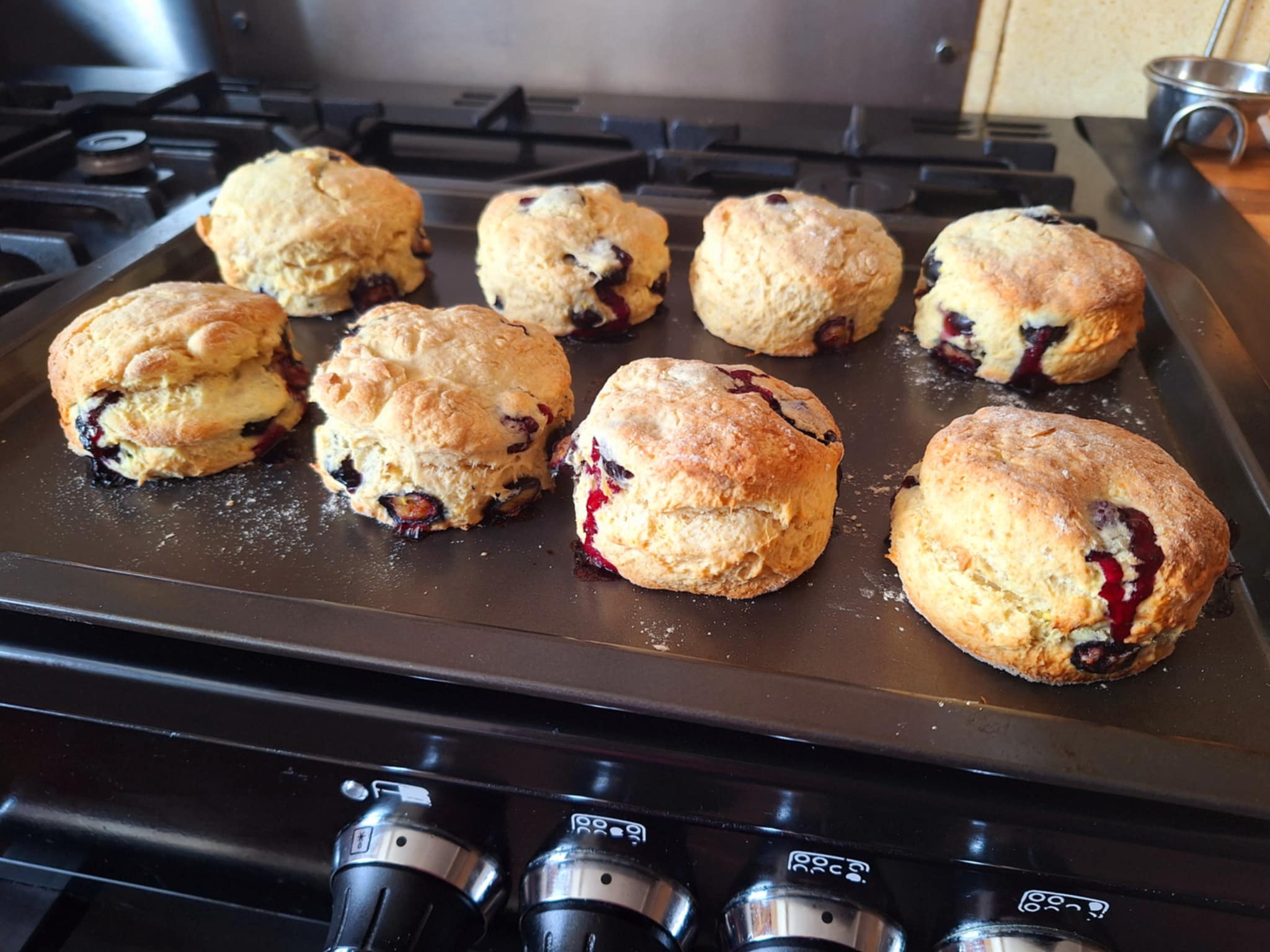 Golden-brown freshly baked lemon and blueberry scones cooling on a wire rack