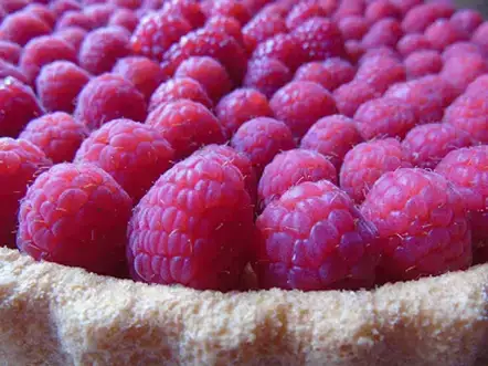 Summer Raspberry Flan